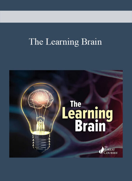 The Learning Brain